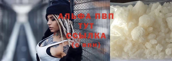 СК Алексин