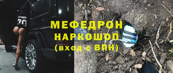 СК Алексин