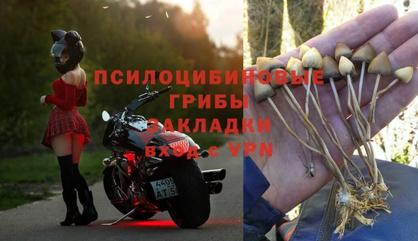 СК Алексеевка