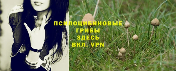 гидра Пролетарск