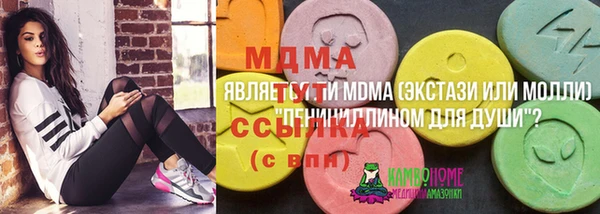 СК Алексин