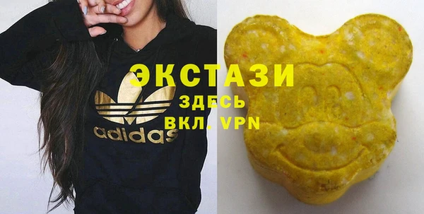 СК Алексин